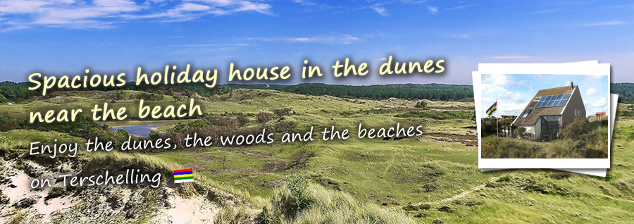 Spacious holiday house in the dunes